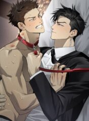 cover_w480 (7)